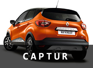 vm_cat_captur