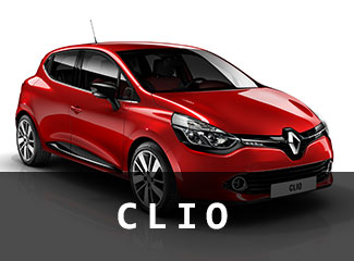 vm_cat_clio