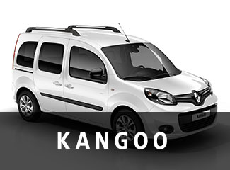 vm_cat_kangoo