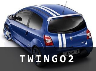 vm_cat_twingo2