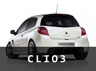 vm_cat_clio3